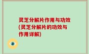 灵芝分解片作用与功效(灵芝分解片的功效与作用详解)