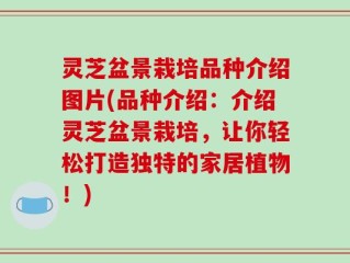 灵芝盆景栽培品种介绍图片(品种介绍：介绍灵芝盆景栽培，让你轻松打造独特的家居植物！)