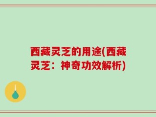 西藏灵芝的用途(西藏灵芝：神奇功效解析)