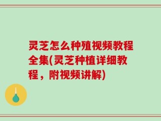 灵芝怎么种殖视频教程全集(灵芝种植详细教程，附视频讲解)