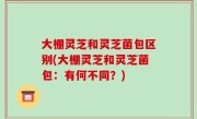 大棚灵芝和灵芝菌包区别(大棚灵芝和灵芝菌包：有何不同？)