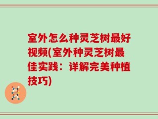 室外怎么种灵芝树最好视频(室外种灵芝树最佳实践：详解完美种植技巧)