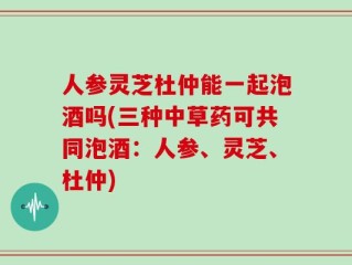 人参灵芝杜仲能一起泡酒吗(三种中草药可共同泡酒：人参、灵芝、杜仲)