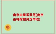 南京山里采灵芝(南京山林挖掘灵芝丰收)