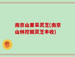 南京山里采灵芝(南京山林挖掘灵芝丰收)