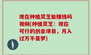 现在种植灵芝能赚钱吗视频(种植灵芝：现在可行的创业项目，月入过万不是梦)