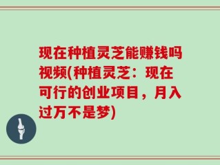 现在种植灵芝能赚钱吗视频(种植灵芝：现在可行的创业项目，月入过万不是梦)