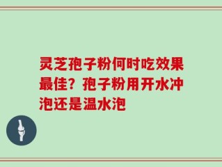 灵芝孢子粉何时吃效果最佳？孢子粉用开水冲泡还是温水泡