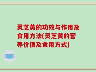 灵芝黄的功效与作用及食用方法(灵芝黄的营养价值及食用方式)