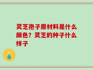 灵芝孢子原材料是什么颜色？灵芝的种子什么样子