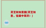 灵芝和如意图(灵芝如意，宝藏中草药！)