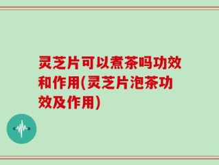 灵芝片可以煮茶吗功效和作用(灵芝片泡茶功效及作用)