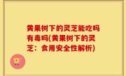 黄果树下的灵芝能吃吗有毒吗(黄果树下的灵芝：食用安全性解析)
