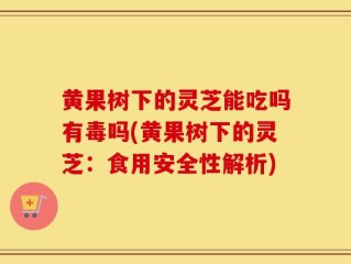 黄果树下的灵芝能吃吗有毒吗(黄果树下的灵芝：食用安全性解析)