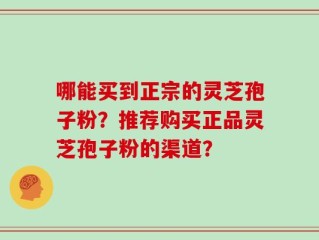 哪能买到正宗的灵芝孢子粉？推荐购买正品灵芝孢子粉的渠道？