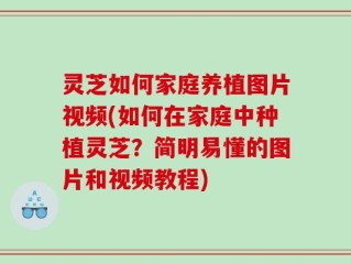 灵芝如何家庭养植图片视频(如何在家庭中种植灵芝？简明易懂的图片和视频教程)