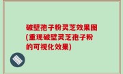 破壁孢子粉灵芝效果图(重现破壁灵芝孢子粉的可视化效果)