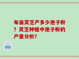 每亩灵芝产多少孢子粉？灵芝种植中孢子粉的产量分析？