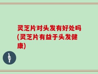 灵芝片对头发有好处吗(灵芝片有益于头发健康)