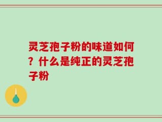 灵芝孢子粉的味道如何？什么是纯正的灵芝孢子粉