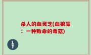 杀人的血灵芝(血狼藻：一种致命的毒菇)