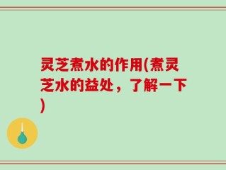 灵芝煮水的作用(煮灵芝水的益处，了解一下)