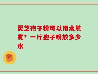 灵芝孢子粉可以用水煎煮？一斤孢子粉放多少水
