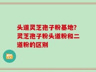 头道灵芝孢子粉基地？灵芝孢子粉头道粉和二道粉的区别