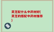 灵芝配什么中药材好(灵芝的搭配中药材推荐)