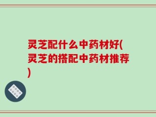 灵芝配什么中药材好(灵芝的搭配中药材推荐)