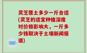 灵芝覆土多少一斤合适(灵芝的适宜种植深度对价格影响大，一斤多少钱取决于土壤新闻报道)