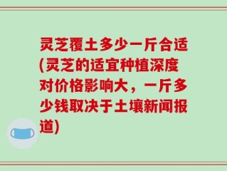 灵芝覆土多少一斤合适(灵芝的适宜种植深度对价格影响大，一斤多少钱取决于土壤新闻报道)