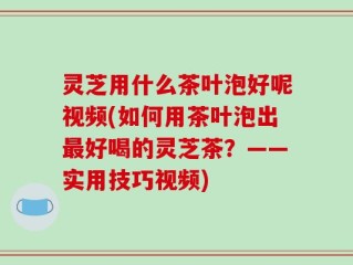 灵芝用什么茶叶泡好呢视频(如何用茶叶泡出最好喝的灵芝茶？——实用技巧视频)
