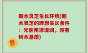 断木灵芝生长环境(断木灵芝的理想生长条件：光照阴凉湿润，须有树木基质)