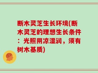 断木灵芝生长环境(断木灵芝的理想生长条件：光照阴凉湿润，须有树木基质)