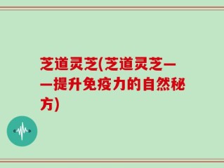 芝道灵芝(芝道灵芝——提升免疫力的自然秘方)