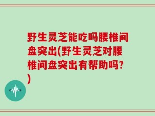 野生灵芝能吃吗腰椎间盘突出(野生灵芝对腰椎间盘突出有帮助吗？)