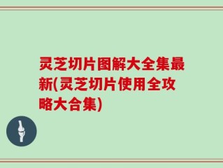 灵芝切片图解大全集最新(灵芝切片使用全攻略大合集)