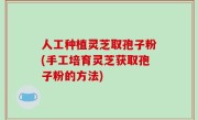 人工种植灵芝取孢子粉(手工培育灵芝获取孢子粉的方法)
