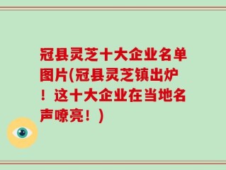 冠县灵芝十大企业名单图片(冠县灵芝镇出炉！这十大企业在当地名声嘹亮！)