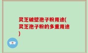 灵芝破壁孢子粉用途(灵芝孢子粉的多重用途)