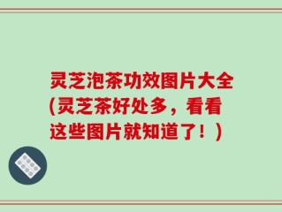 灵芝泡茶功效图片大全(灵芝茶好处多，看看这些图片就知道了！)
