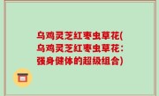 乌鸡灵芝红枣虫草花(乌鸡灵芝红枣虫草花：强身健体的超级组合)