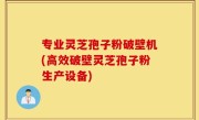 专业灵芝孢子粉破壁机(高效破壁灵芝孢子粉生产设备)