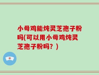 小母鸡能炖灵芝孢子粉吗(可以用小母鸡炖灵芝孢子粉吗？)
