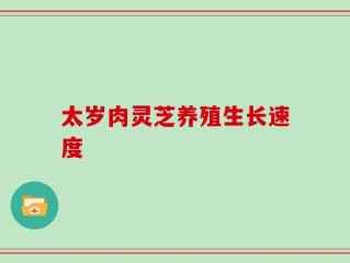 太岁肉灵芝养殖生长速度