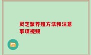 灵芝蟹养殖方法和注意事项视频