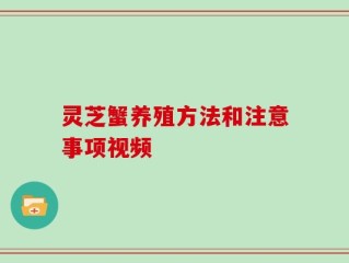 灵芝蟹养殖方法和注意事项视频