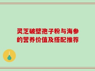 灵芝破壁孢子粉与海参的营养价值及搭配推荐