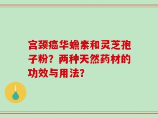 宫颈癌华蟾素和灵芝孢子粉？两种天然药材的功效与用法？